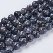 Natural Larvikite Beads Strands, Faceted, Round, 8mm, Hole: 1mm, about 46pcs/strand, 15.75 inch(G-G542-8mm-27)