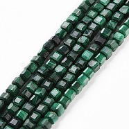 Natural Malachite Beads Strands, Faceted, Cube, 2.5x2.5x2.5mm, Hole: 0.5mm, about 186~188pcs/strand, 15.16~15.35 inch(38.5~39cm)(G-C009-B24-01)