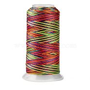 Segment Dyed Round Polyester Sewing Thread, for Hand & Machine Sewing, Tassel Embroidery, Colorful, 12-Ply, 0.8mm, about 300m/roll(OCOR-Z001-B-16)