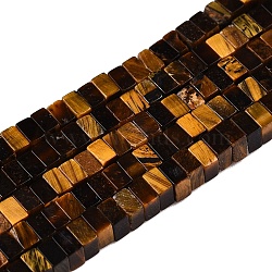 Natural Tiger Eye Beads Strands, Faceted, Square, 2.5x2.5x8x1.5mm, Hole: 0.8mm, about 225~245pcs/strand, 14.92~15.39 inch(37.9~39.1cm)(G-N342-73)