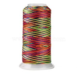 Segment Dyed Round Polyester Sewing Thread, for Hand & Machine Sewing, Tassel Embroidery, Colorful, 12-Ply, 0.8mm, about 300m/roll(OCOR-Z001-B-16)