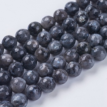Natural Larvikite Beads Strands, Faceted, Round, 8mm, Hole: 1mm, about 46pcs/strand, 15.75 inch