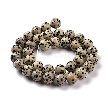 Natural Dalmatian Jasper Beads Strands(G-Q462-10mm-30)-4