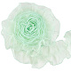 Polyester Lace Ribbon(OCOR-WH20018-62B)-1