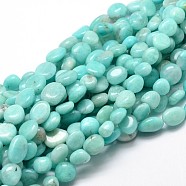 Natural Amazonite Gemstone Nuggets Bead Strands, Tumbled Stone, 9~12x8~13x5~7mm, Hole: 1mm, about 15.3 inch~15.7 inch(G-J336-32)