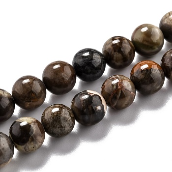 Round Natural Ocean Agate/Ocean Jasper Beads Strands, 8mm, Hole: 1.2mm, about 46pcs/strand, 14.96''(38cm)