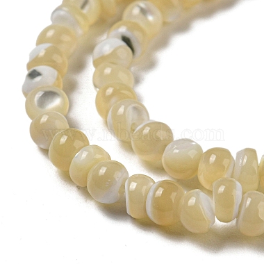 Natural Trochus Shell Beads Strands(SSHEL-H072-13A)-3