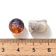 Mixed Style Glass Beads(GLAA-XCP0012-02T)-3