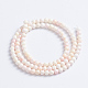 Natural Pink Shell Beads Strands(SSHEL-L016-18C)-3