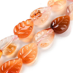 Natural Agate Carved Beads Strands, Leaf, 15.5x10.5x5mm, Hole: 1mm, about 25pcs/strand, 14.17''(36cm)(G-H024-B01-01)