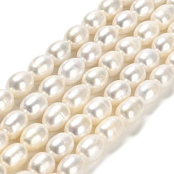 Natural Cultured Freshwater Pearl Beads Strands, Rice, Grade 5A, Floral White, 10.5~13x9~10mm, Hole: 0.5mm, about 33pcs/strand, 15.75~15.87 inch(40~40.3cm)(PEAR-E016-085)