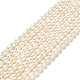 Natural Cultured Freshwater Pearl Beads Strands(PEAR-E016-170)-1