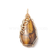 Natural Tiger Eye Copper Wire Wrapped Pendants, Teardrop Charms, Golden, 36x17x8mm, Hole: 3x2mm(PALLOY-JF02016-02)