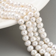 Natural Cultured Freshwater Pearl Beads Strands, Potato, Beige, 5~6mm, Hole: 0.6mm, about 33pcs/strand, 6.89~7.09 inch(17.5~18cm)(PEAR-C003-13D)