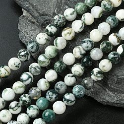 Natural Tree Agate Beads Strands, Round, 8mm, Hole: 1mm, about 48pcs/strand, 15.3 inch(39cm)(X-G-K194-8mm-02)