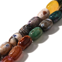 Natural Fire Crackle Agate(Dyed & Heated) Beads Strands, Barrel, Mixed Color, 13.5~14x9.5~10mm, Hole: 1.5mm, about 27pcs/strand, 14.53~14.57''(36.9~37cm)(G-H091-C01-01)