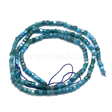 Chapelets de perles en apatite naturelle(G-P457-B01-14)-3