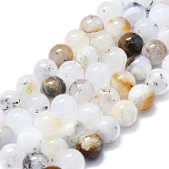 Natural White African Opal Beads Strands, Round, 8mm, Hole: 0.8mm, about 48~52pcs/strand,15.35''~16.54''(39~42cm)(G-K245-A18-04)
