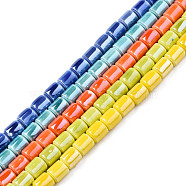 Handmade Porcelain Beads Strands, Pearlized, Column, Mixed Color, 6.5x5.5mm, Hole: 1.4mm, about 45pcs/strand, 11.81 inch(30cm)(PORC-N007-12)