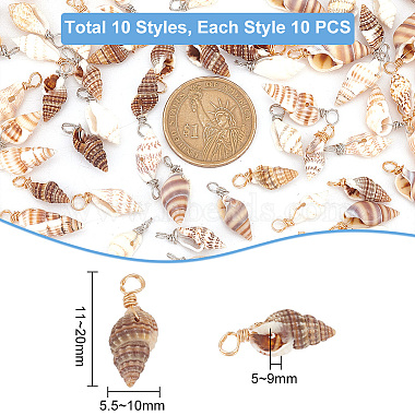 100 Stück 10 Stile natürliche Muschelanhänger(PALLOY-AB00159)-2