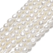 Natural Cultured Freshwater Pearl Beads Strands, Two Sides Polished, Linen, 4~5x4x3.5~4mm, Hole: 0.6mm, about 75~76pcs/strand, 14.17''(36cm)(PEAR-A005-12-01)