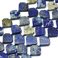 Natural Lapis Lazuli Beads Strands, Diamond Shaped, 15.5~16.5x17~17.5x5~5.8mm, Hole: 1mm, about 22~24pcs/strand, 15.75~15.94 inch(40~40.5cm)(G-G106-E04-01)