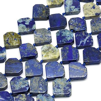 Natural Lapis Lazuli Beads Strands, Diamond Shaped, 15.5~16.5x17~17.5x5~5.8mm, Hole: 1mm, about 22~24pcs/strand, 15.75~15.94 inch(40~40.5cm)