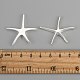 Brass Starfish/Sea Stars Pendants(KK-BB11654)-3