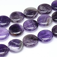 Natural Amethyst Flat Round Bead Strands, 20x7~9mm, Hole: 1mm, about 20pcs/strand, 15.7 inch(G-L246-23)