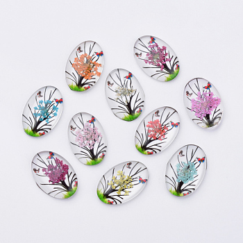 Inner Flower Glass Gabochons, Oval, Mixed Color, 25x18x5.5mm