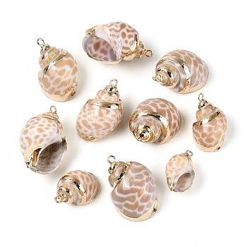 Electroplate Natural Spiral Shell Pendants, Conch Charms with Golden Tone Iron Loops, Sandy Brown, 19.5~30.5x13~22x11~18mm, Hole: 1.6~1.8mm