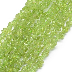Natural Peridot Beads Strands, Chip, 4.5~8.5x3~5mm, Hole: 0.6mm, about 33 inch(84cm)(G-P406-11)