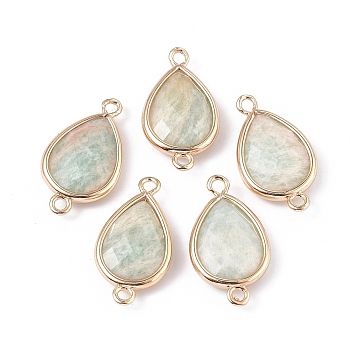 Natural Amazonite Links connectors, with Golden Tone Brass Findings, Teardrop, 22x12x5mm, Hole: 1.6mm