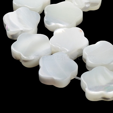 Natural Trochus Shell Beads Strands(X-BSHE-P033-07)-4