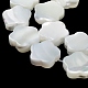 Natural Trochus Shell Beads Strands(X-BSHE-P033-07)-4