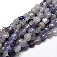 Natural Cordierite/Iolite/Dichroite Nuggets Beads Strands, Tumbled Stone, 9~12x8~13x5~7mm, Hole: 1mm, about 15.3 inch~15.7 inch(G-J336-10)