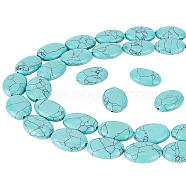 2 Strands Flat Oval Synthetic Turquoise Stone Beads Strands, 18x13x6mm, Hole: 2mm, about 22pcs/strand, 15.70''(39.87cm)(TURQ-NB0001-10)