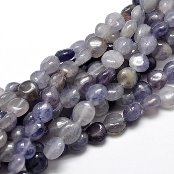 Natural Cordierite/Iolite/Dichroite Nuggets Beads Strands, Tumbled Stone, 9~12x8~13x5~7mm, Hole: 1mm, about 15.3 inch~15.7 inch