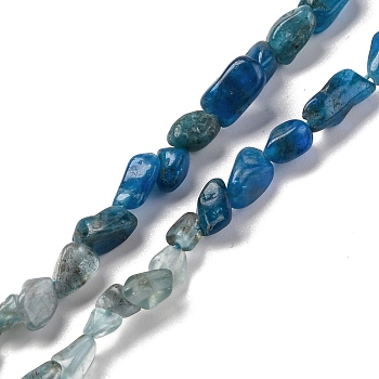 Gradient Color Natural Apatite Beads Strands, Nuggets, Tumbled Stone, 5~14x4~10x4~8mm, Hole: 0.8~1mm, about 45~59pcs/strand, 15.75~16.34 inch(40~41.5cm)