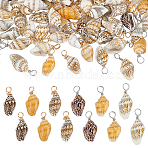 120Pcs 2 Colors Natural Shell Pendants, Shell Shaped Charms with Copper Wire Loops, Platinum & Golden, 18~23x7~10x6~7.5mm, Hole: 3.7mm, 60pcs/color(FIND-ME0002-50)