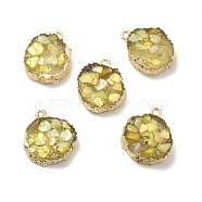 Transparent Resin Pendants, Nuggets Charm, with Light Gold Tone Iron Findings and Gold Foil, Yellow, 21~23x17~20x5.5mm, Hole: 1.6mm(CRES-F022-03A)