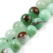 Natural Chrysoprase Beads Strands, Round, 8mm, Hole: 0.9mm, about 46~49pcs/strand, 15.16''~15.75''(38.5~40cm)(G-P503-8MM-03)