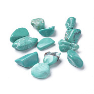 Synthetic Green Turquoise Beads, Undrilled/No Hole, Dyed, Chips, 7~19x6~8x3~7mm, about 100g/bag(G-I221-30)