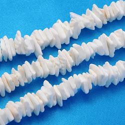 Natural Sea Shell Chips Beads Strands, Shell Shards, Seashell Color, 6~12x4~10x1~3mm, Hole: 1mm, about 178~185pcs/strand, 15.75 inch(X-BSHE-Q024-02)