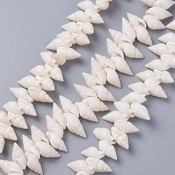 Natural Spiral Shell Beads Strands, White, 18~22x8~12x8~9mm, Hole: 1mm, 15.75 inch(40cm)(X-BSHE-I016-07)