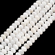 Natural Freshwater Shell Beads Strands(SHEL-C010-04A-02)-1
