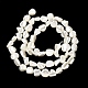 galvanisierte Muschelperlenstr&auml;nge(BSHE-B008-06C)-2
