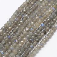 Natural Labradorite Beads Strands, Faceted, Round, 4~5mm, Hole: 1mm, about 88pcs/strand, 15.1 inch(G-K209-05B-4mm)