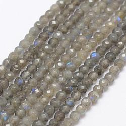 Natural Labradorite Beads Strands, Faceted, Round, 4~5mm, Hole: 1mm, about 88pcs/strand, 15.1 inch(G-K209-05B-4mm)
