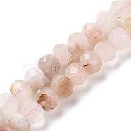 Natural Cherry Blossom Agate Beads Strands, Faceted, Rondelle, 8x6mm, Hole: 1mm, about 63pcs/strand, 14.96''~15.35''(38~39cm)(G-K380-A43-01)